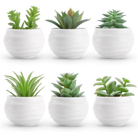 Set of 6 Succulents Plants Artificial in Pots Small Fake Plants for Bedroom Etc - Picture 1 of 6